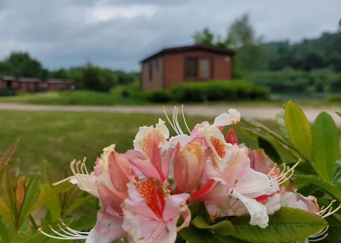 Przy Plazy Campingplatz Gorzuchow